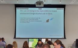 Slide from Nikki Crowley's talk.