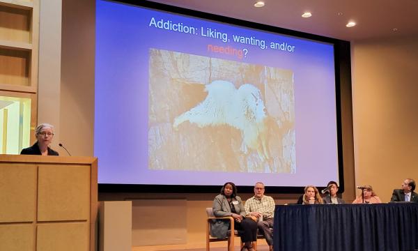 The CSUA conference featured rounds of research talks from researchers across the Commonwealth.